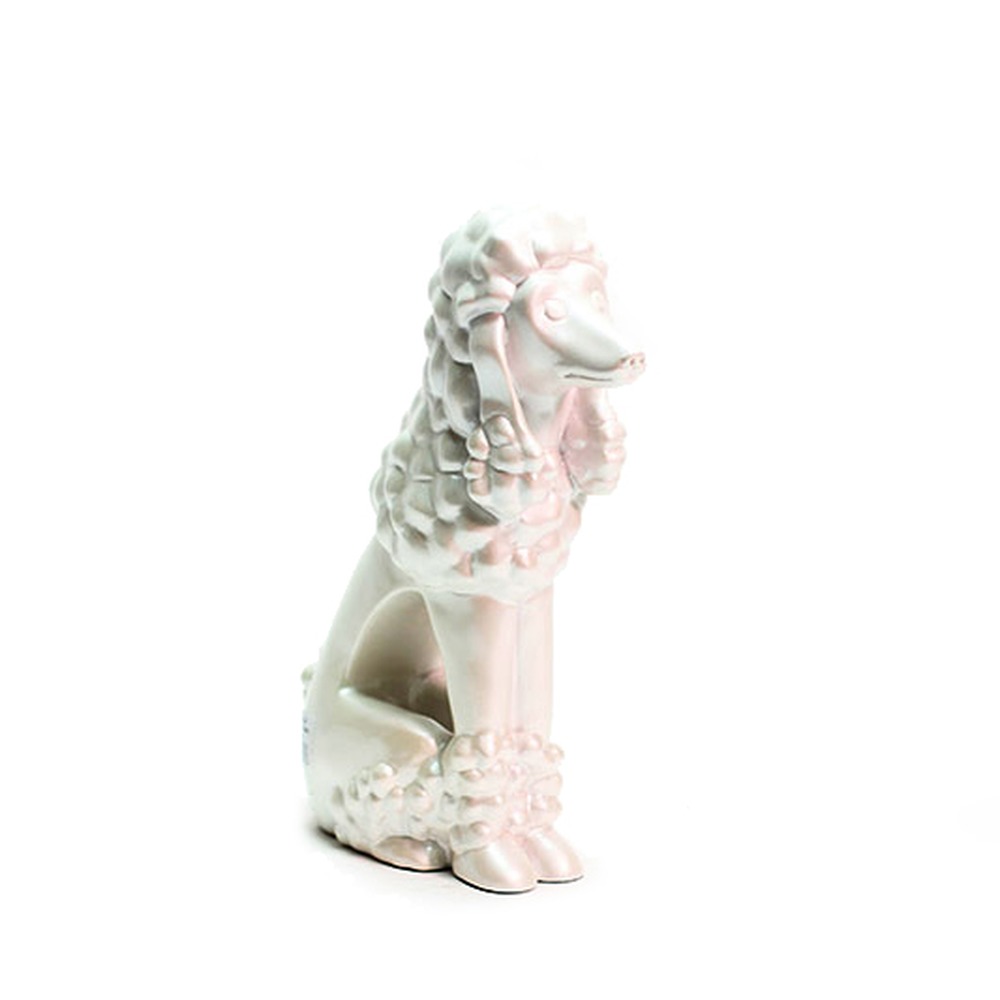 Cachorro Poodle Pequeno